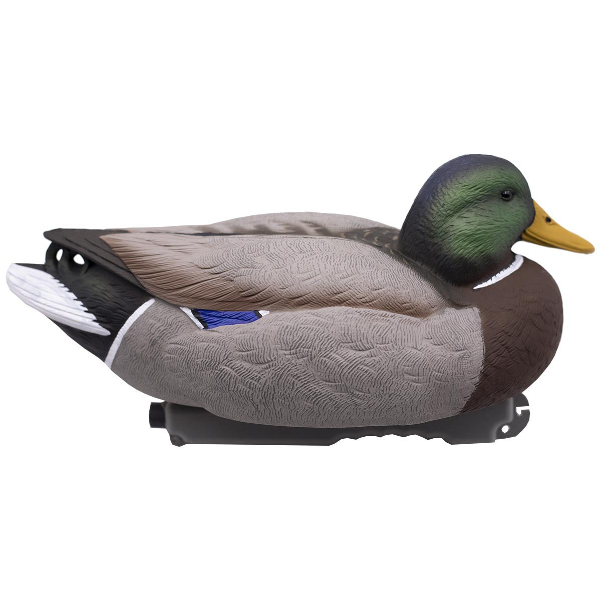 LIVE Floating Mallards - 12 Pack