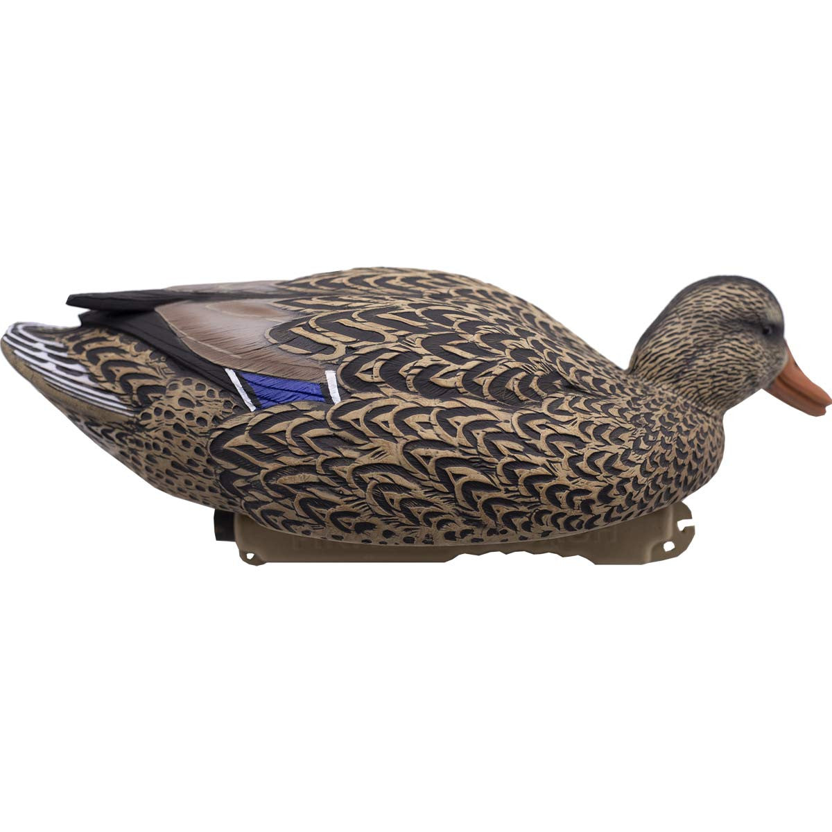LIVE Floating Mallards - 12 Pack