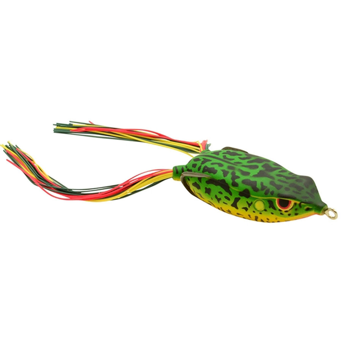 Bronzeye Frog 65