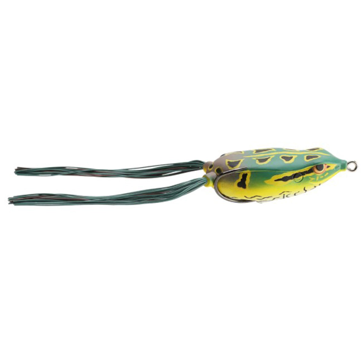 Bronzeye Frog 65