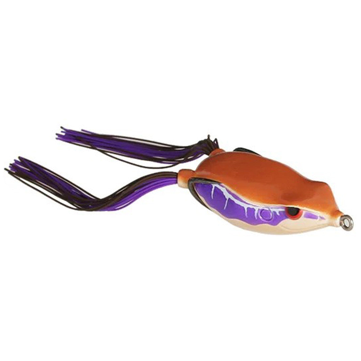 Bronzeye Frog 60