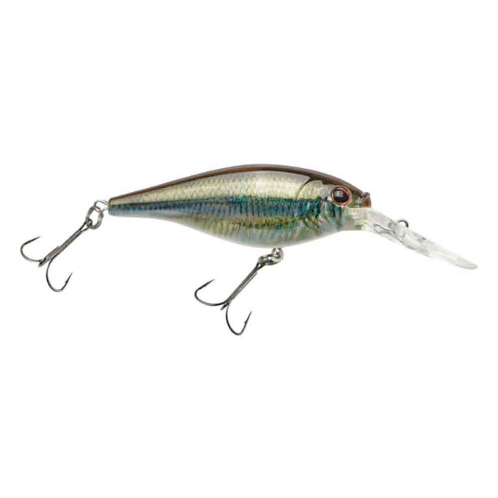 Flicker Shad