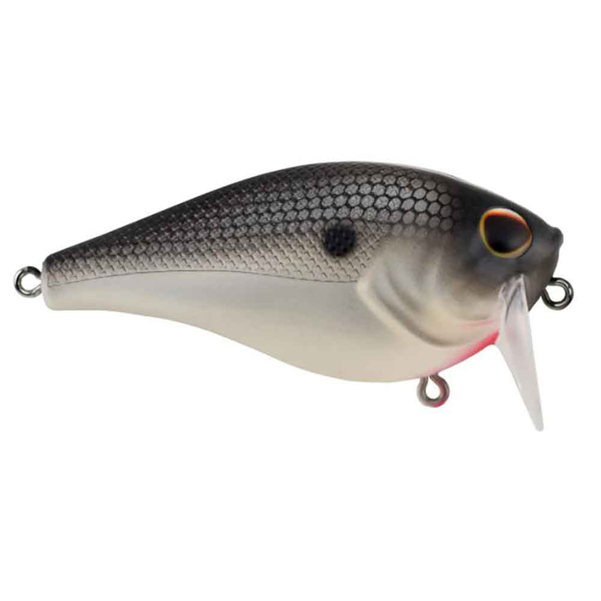 WakeBull Wakebait