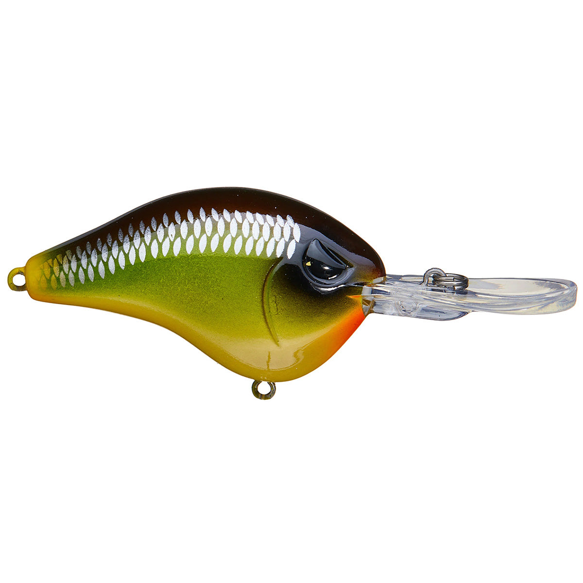 Shad Dad Crankbait 5/8 oz Medium Diver