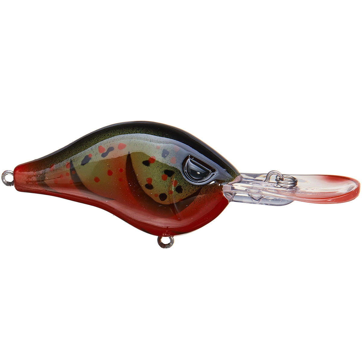 Shad Dad Crankbait 1/2 oz Shallow Diver
