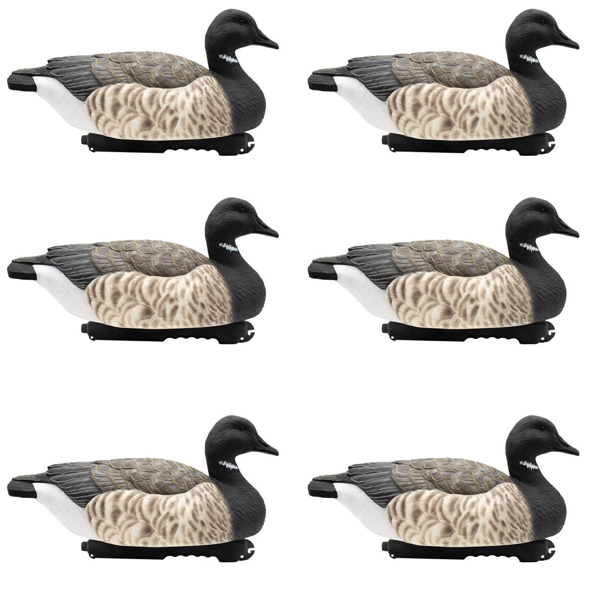 Last Pass Black Brant Floaters, 6 Pack