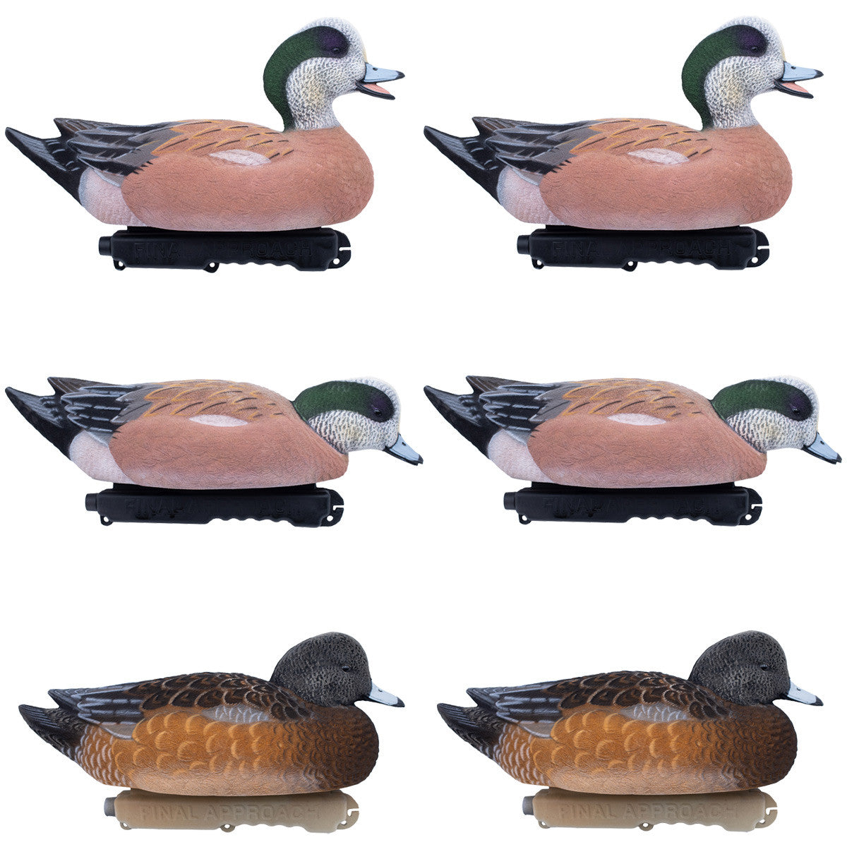 Final Approach Live Fully Flocked Wigeon Floating Duck Decoys Image