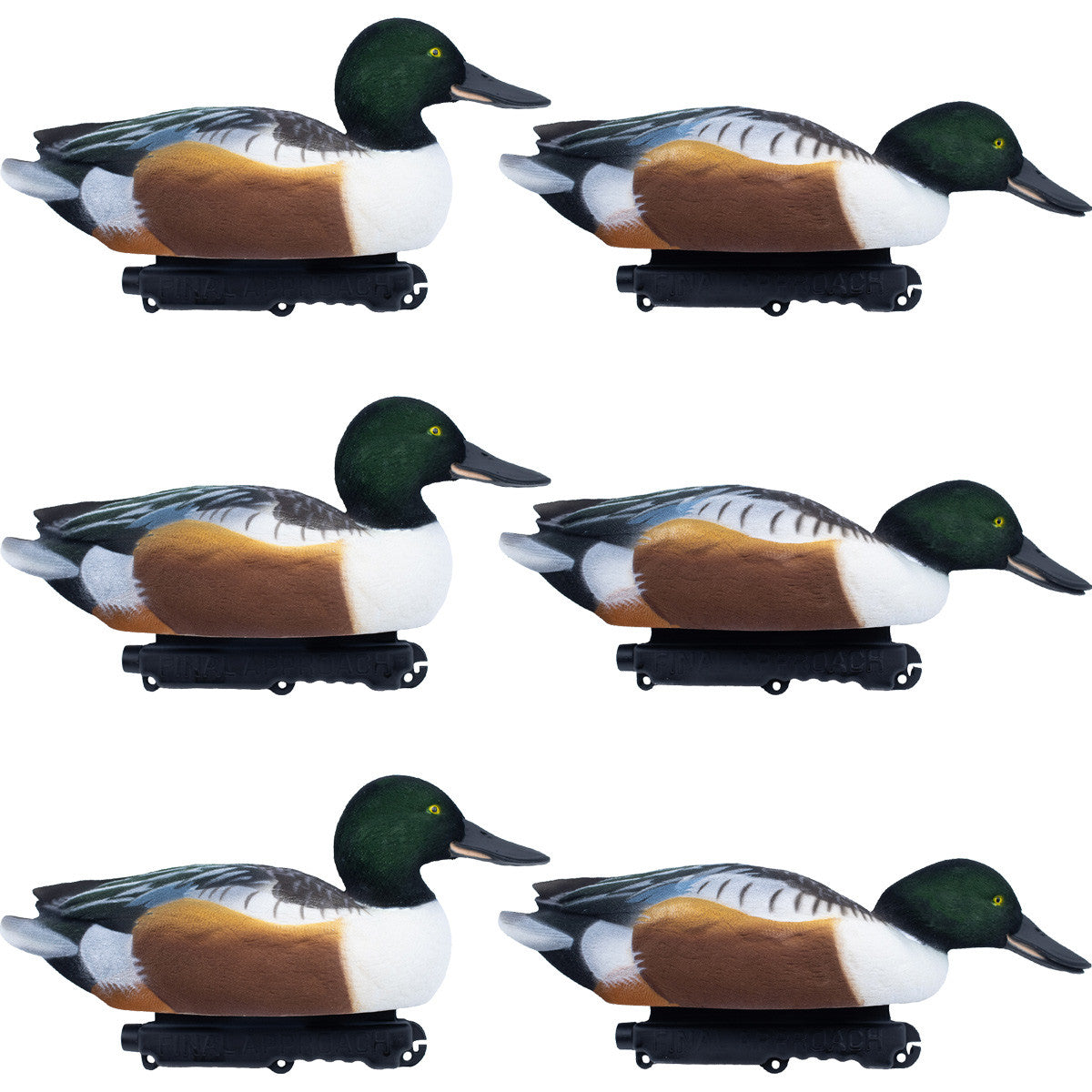 Final Approach LIVE Fully Flocked Northern Shoveler Floating Duck Decoys Image