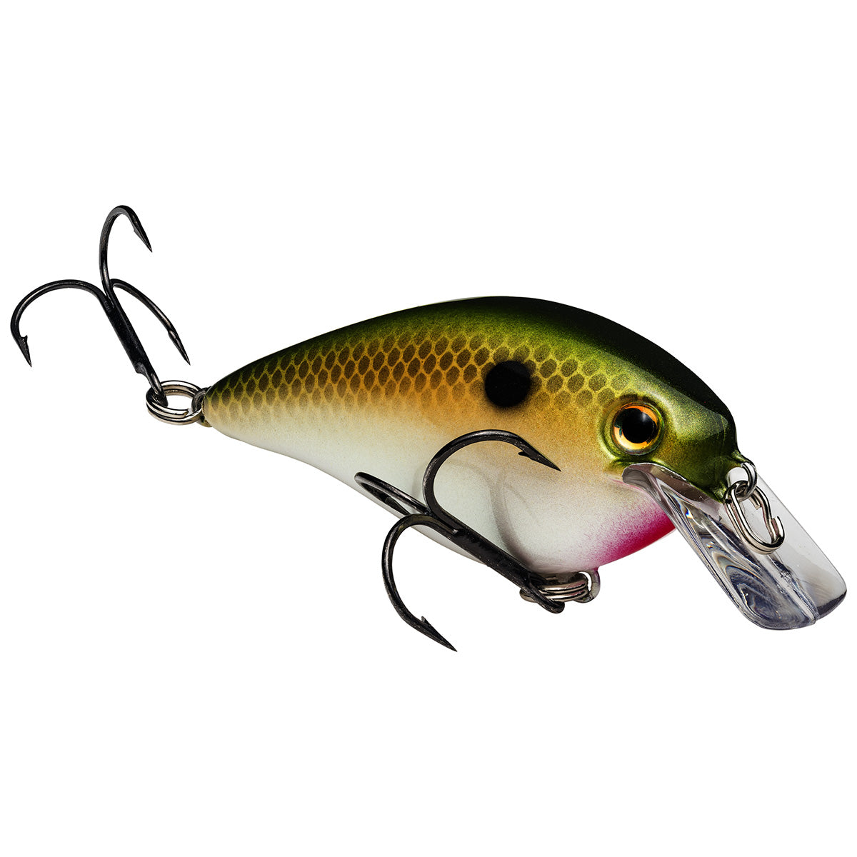 KVD Square Bill Crankbait