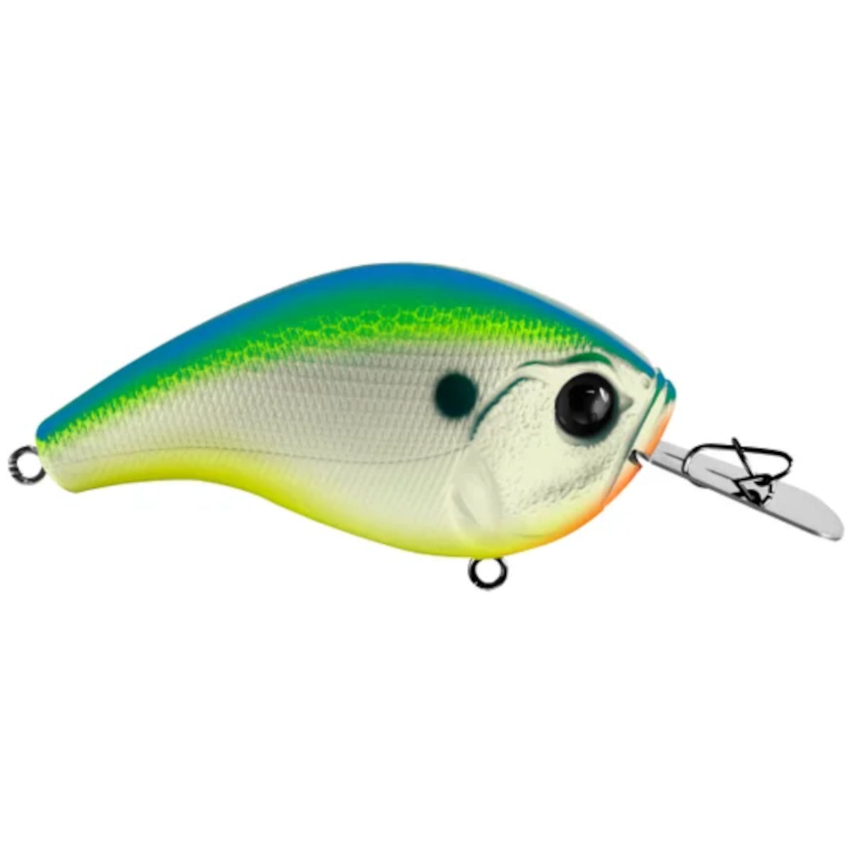 Jabber Jaw - Hybrid Squarebill