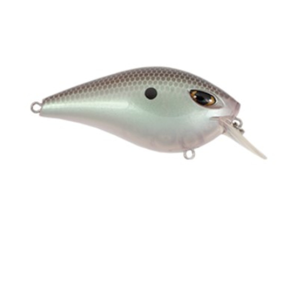 BD Squarebill Crankbait