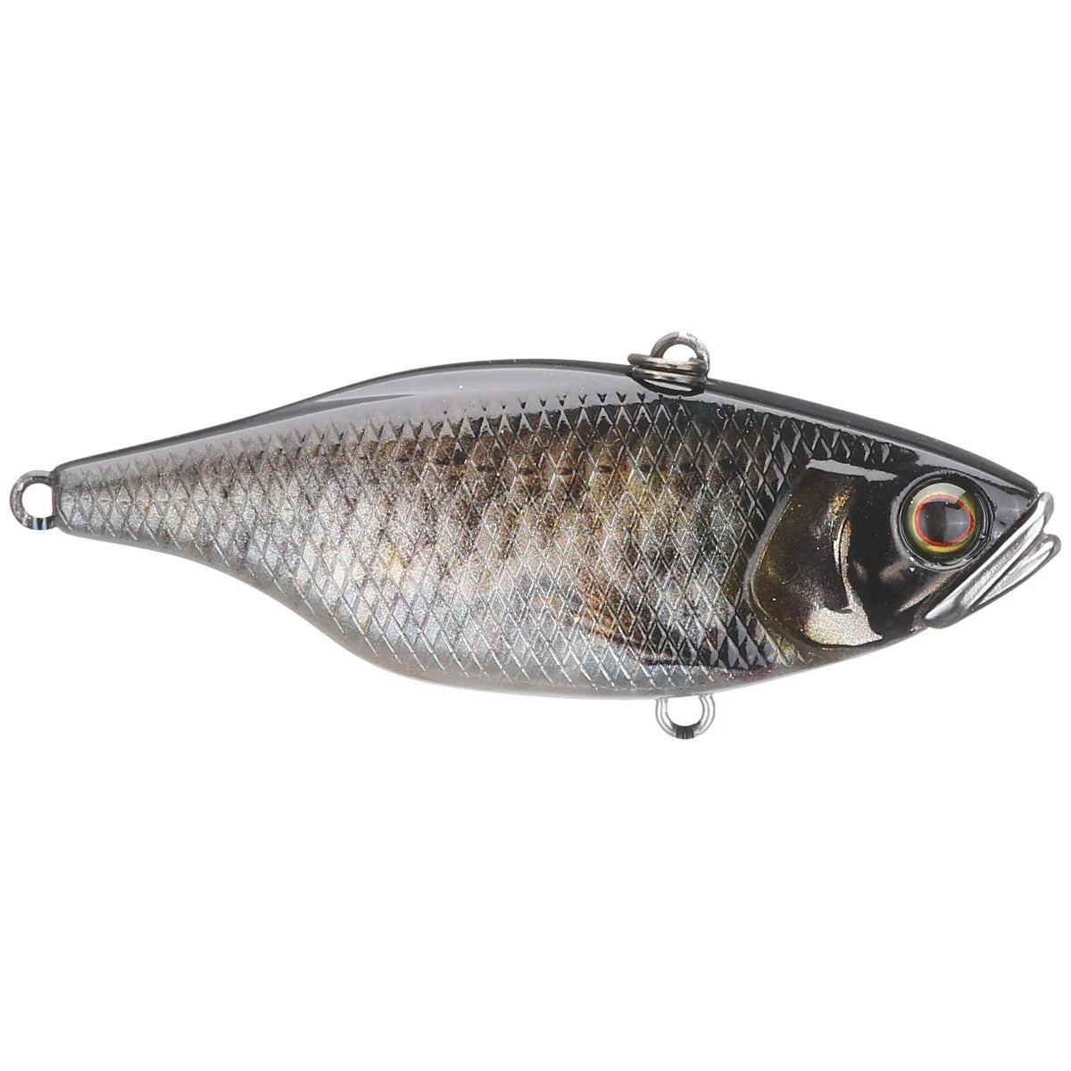 TN Lipless Crankbait