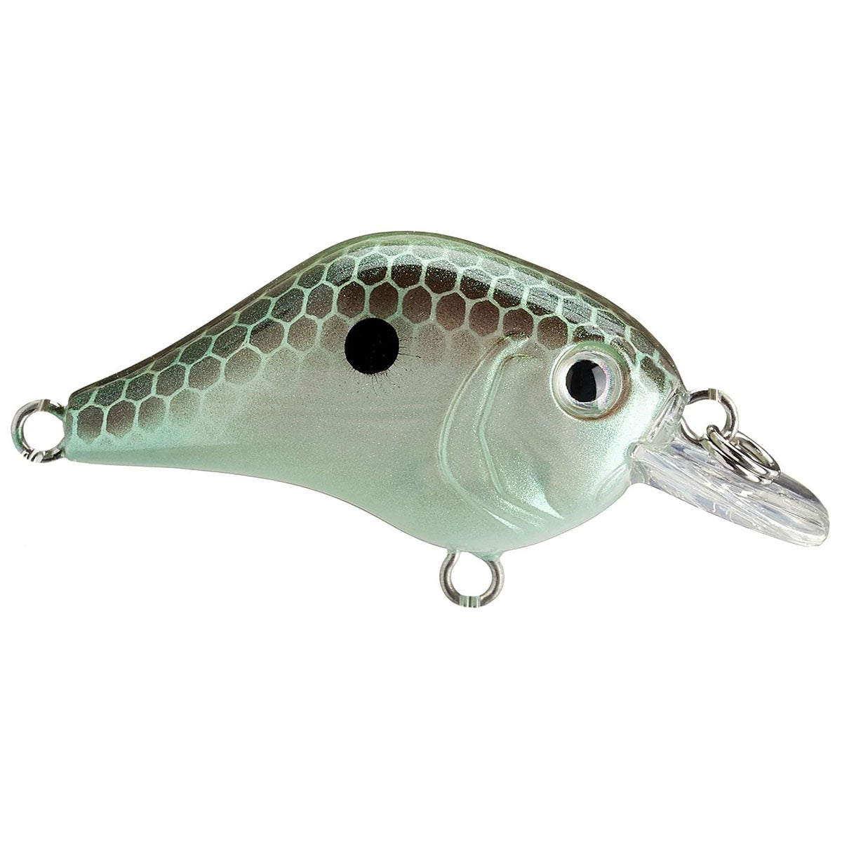 Gnat Tiny Crankbait, 1/8 oz.