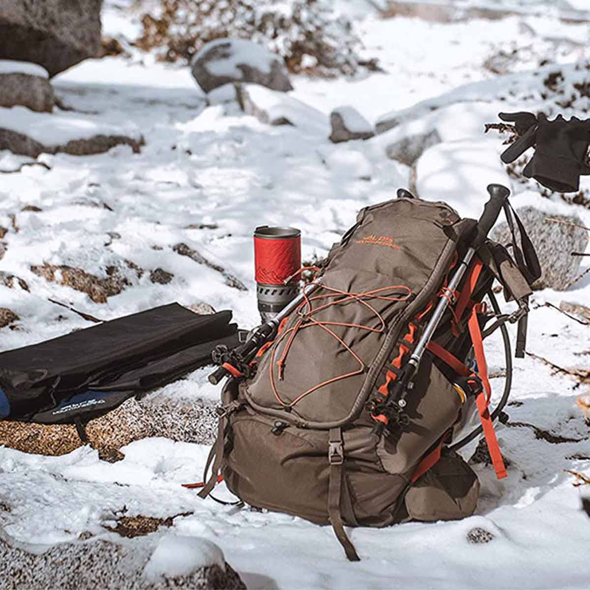 Journey Trekking Pole