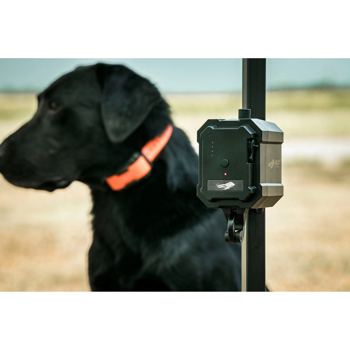 Avery No Break Safety System