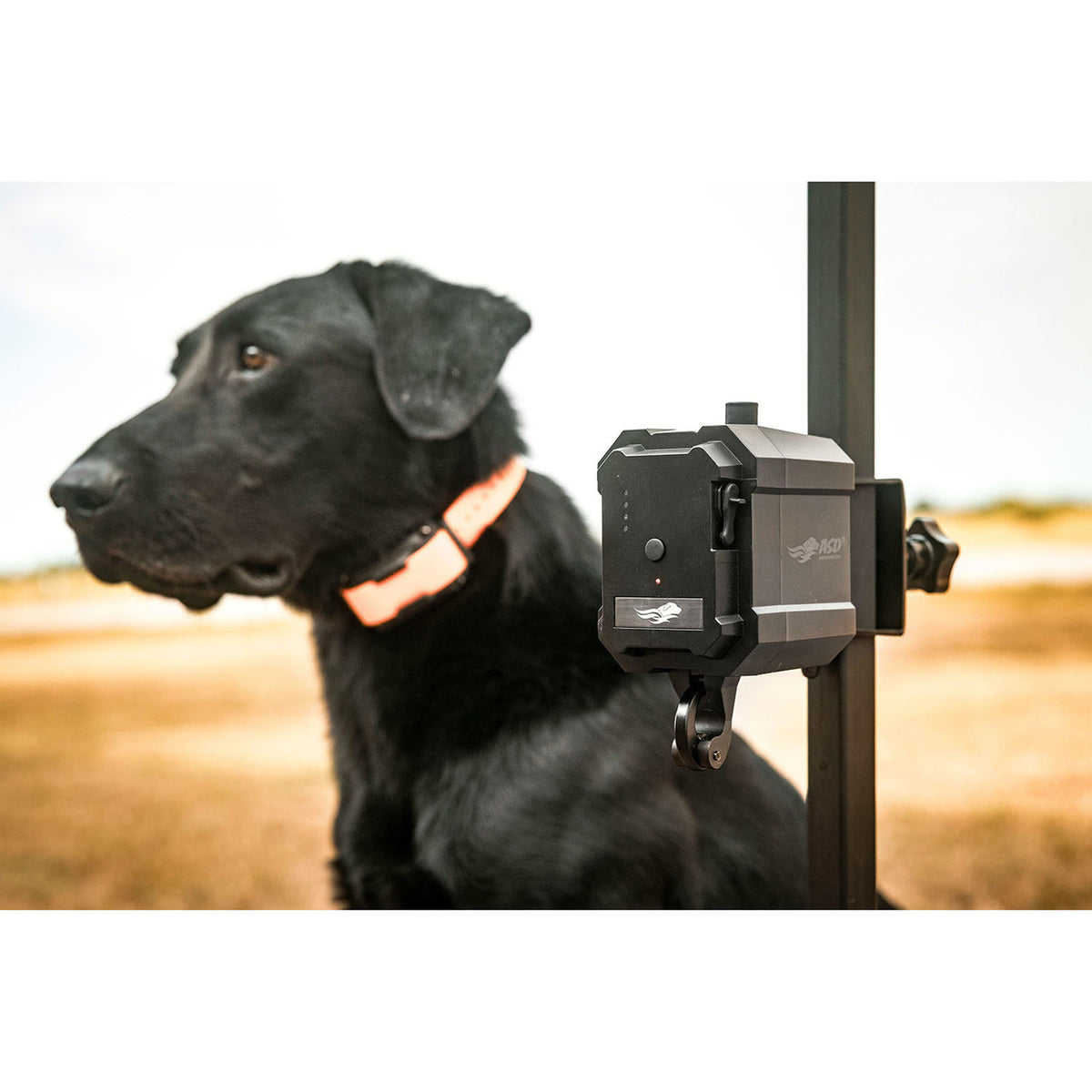 Avery No Break Safety System