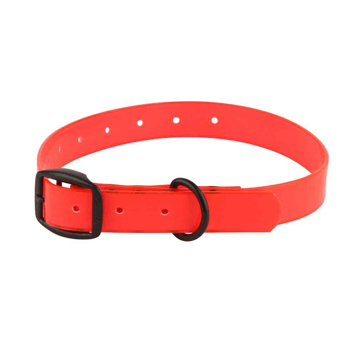 Avery Sport Dogs Cut-To-Fit Dog Collar