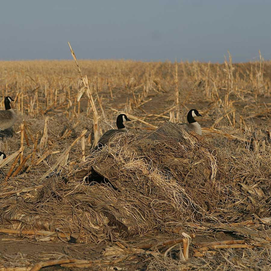 Avery KillerWeed Layout Blind Kit, All Terrain image