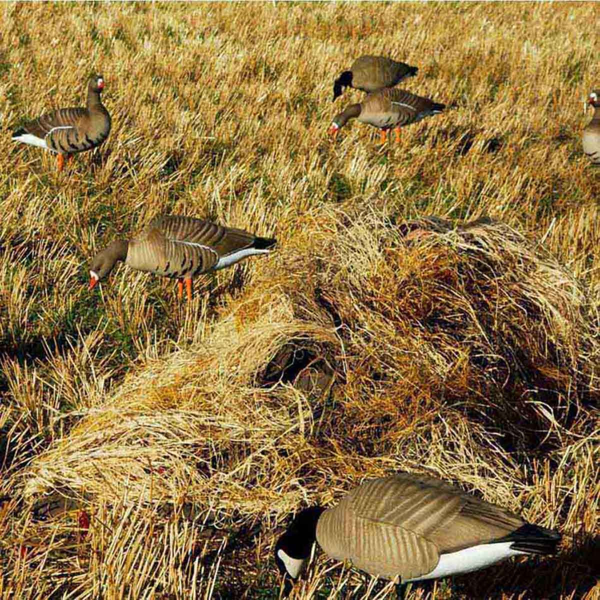 Avery Killer Weed Layout Blind Kit - Golden Harvest image