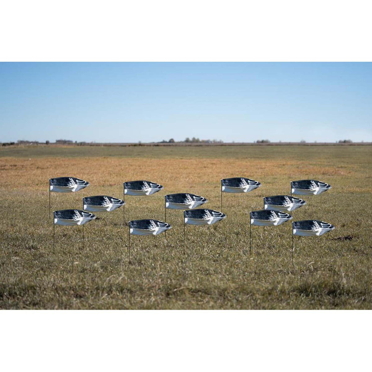Field Image of the GHG Pro-Grade Tall Blue Goose Windsock Decoys without Heads.