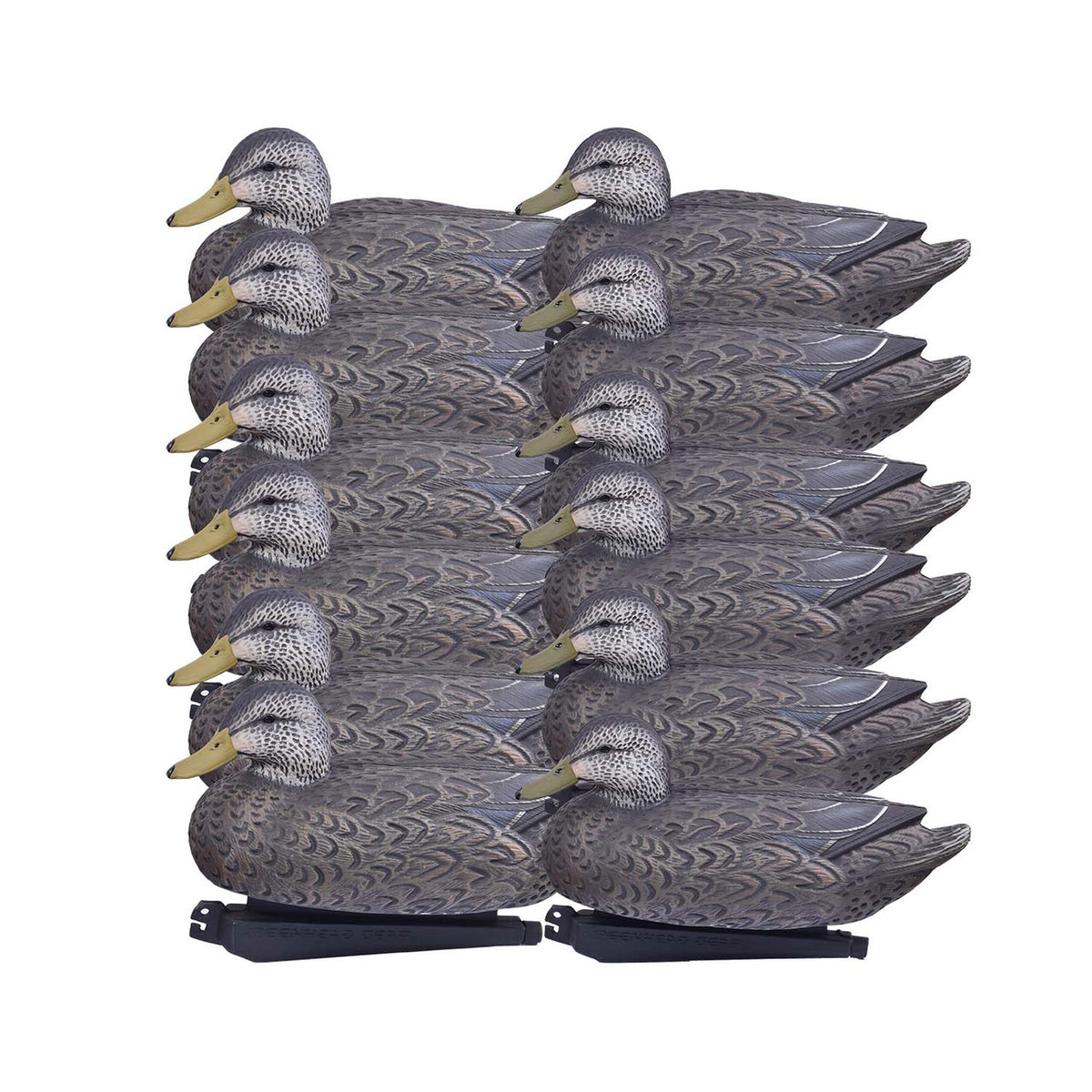 Image of the Avery Essential Series Black Duck, 12 Pack.