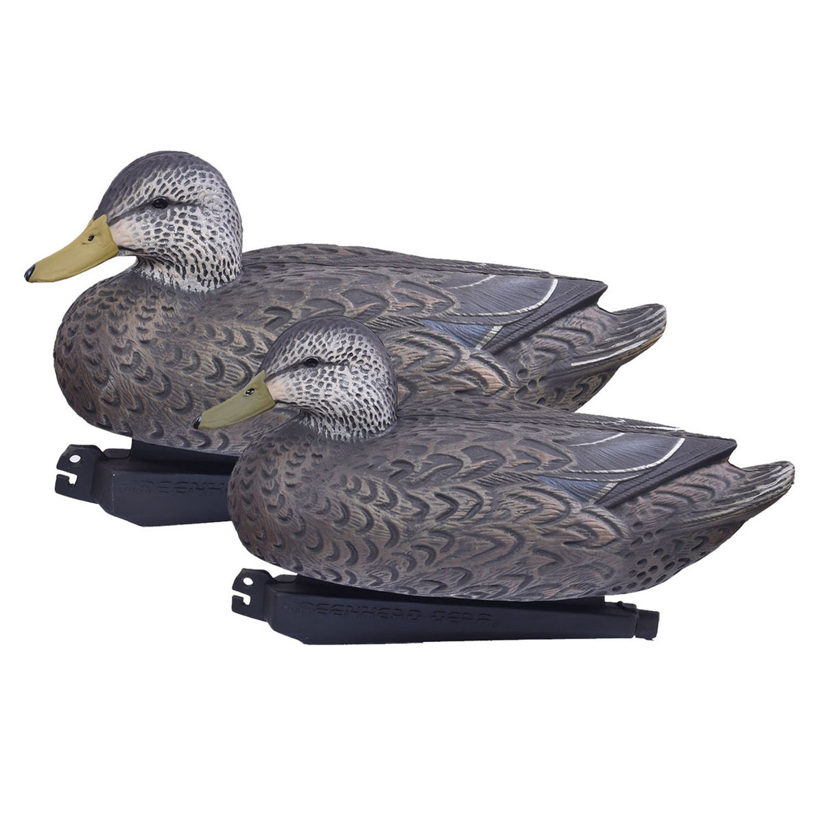 Pair Image of the Drake Essential Series Black Duck Floating Decoy.