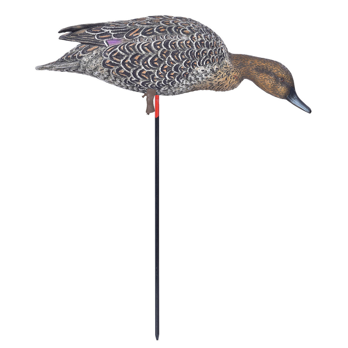 GHG Pro-Grade Full-Body Pintail Duck Decoy Feeder Hen Image