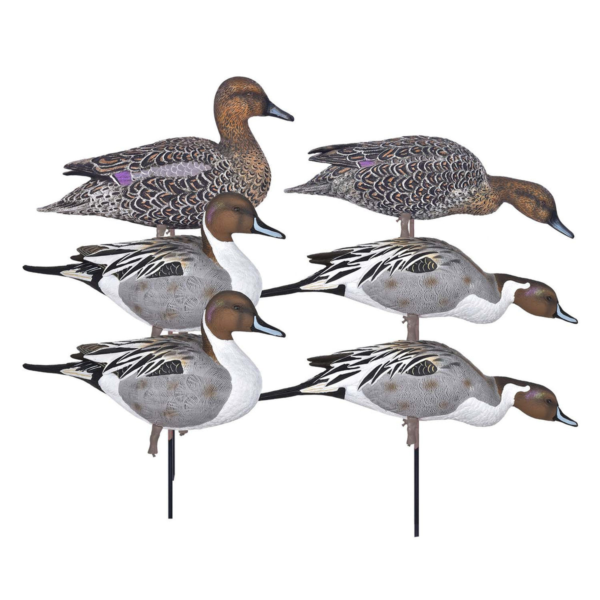GHG Pro-Grade Full-Body Pintail Duck Decoy Harvesters 6 Pack Image