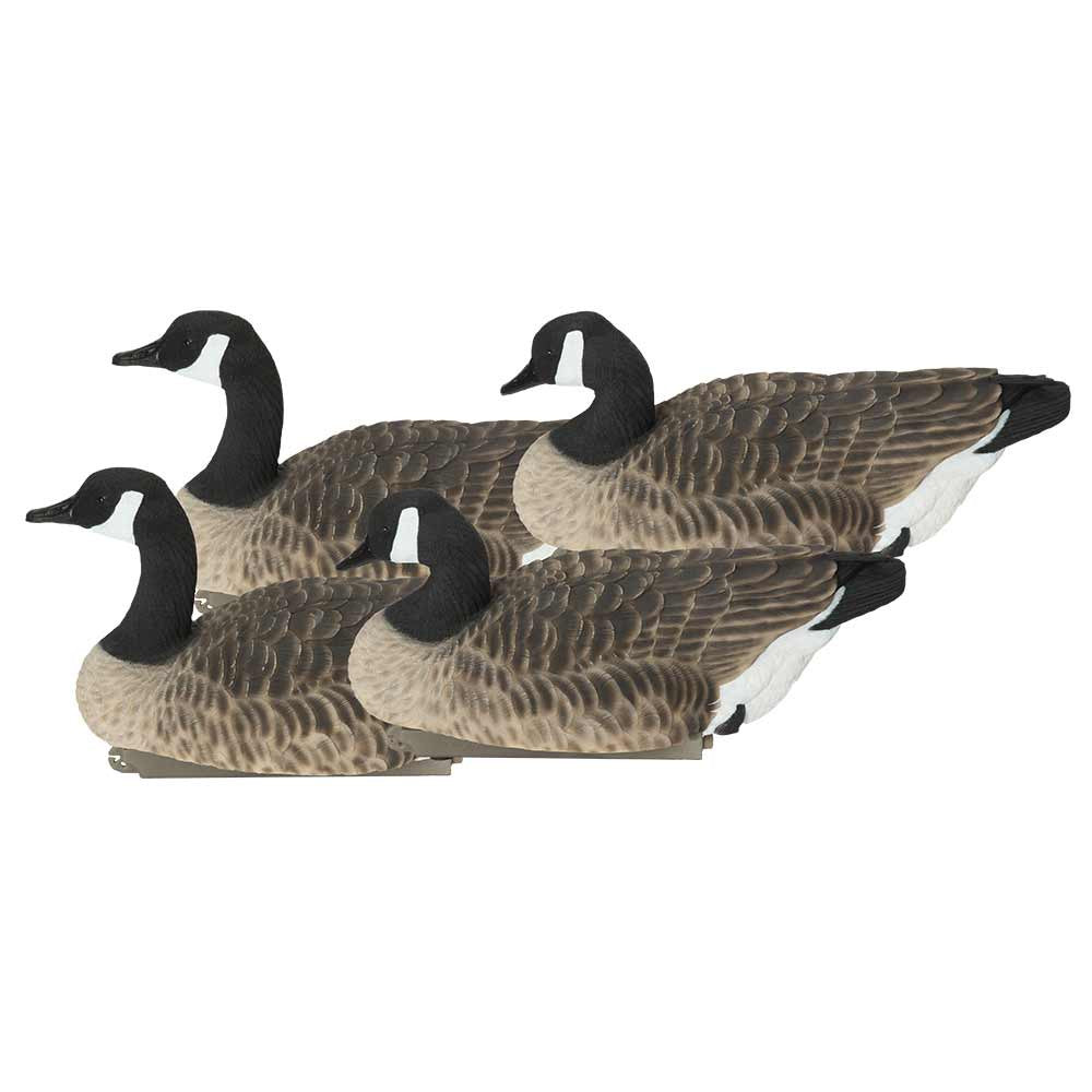 Avery Pro Grade XD Series Canada Floaters, Active 4 Pack Image