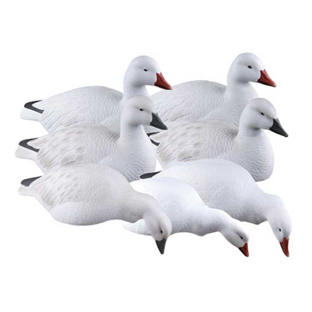 Pro-Grade Snow Goose Shell Harvesters, 12 Pack
