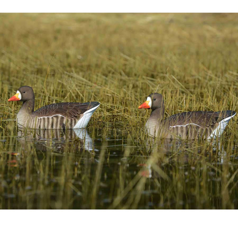 GHG Decoy Systems Fully Flocked Elite Specklebelly Floating Goose Decoys, 4 Pack Image