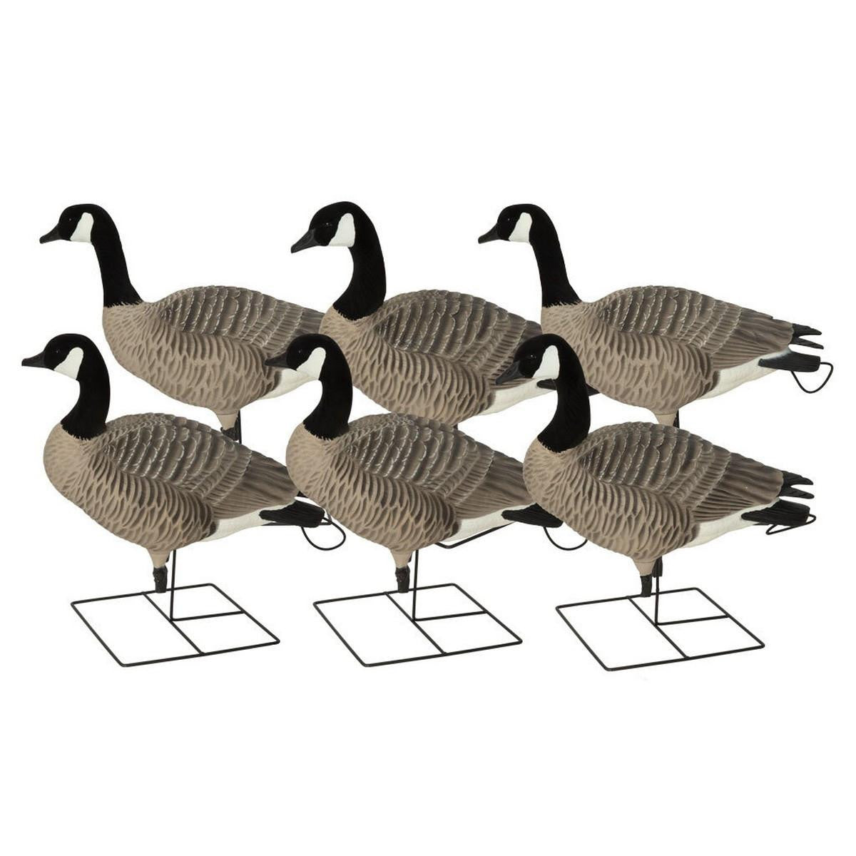 Pro-Grade XD Series Full Body Canada Goose - Active 6 Pack