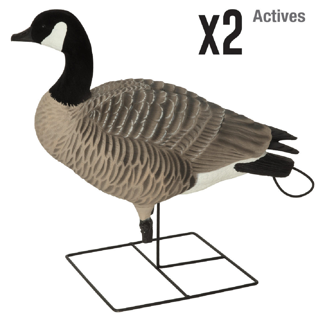 GHG Decoy Systems XD Series Full-Body Honker X2 Image