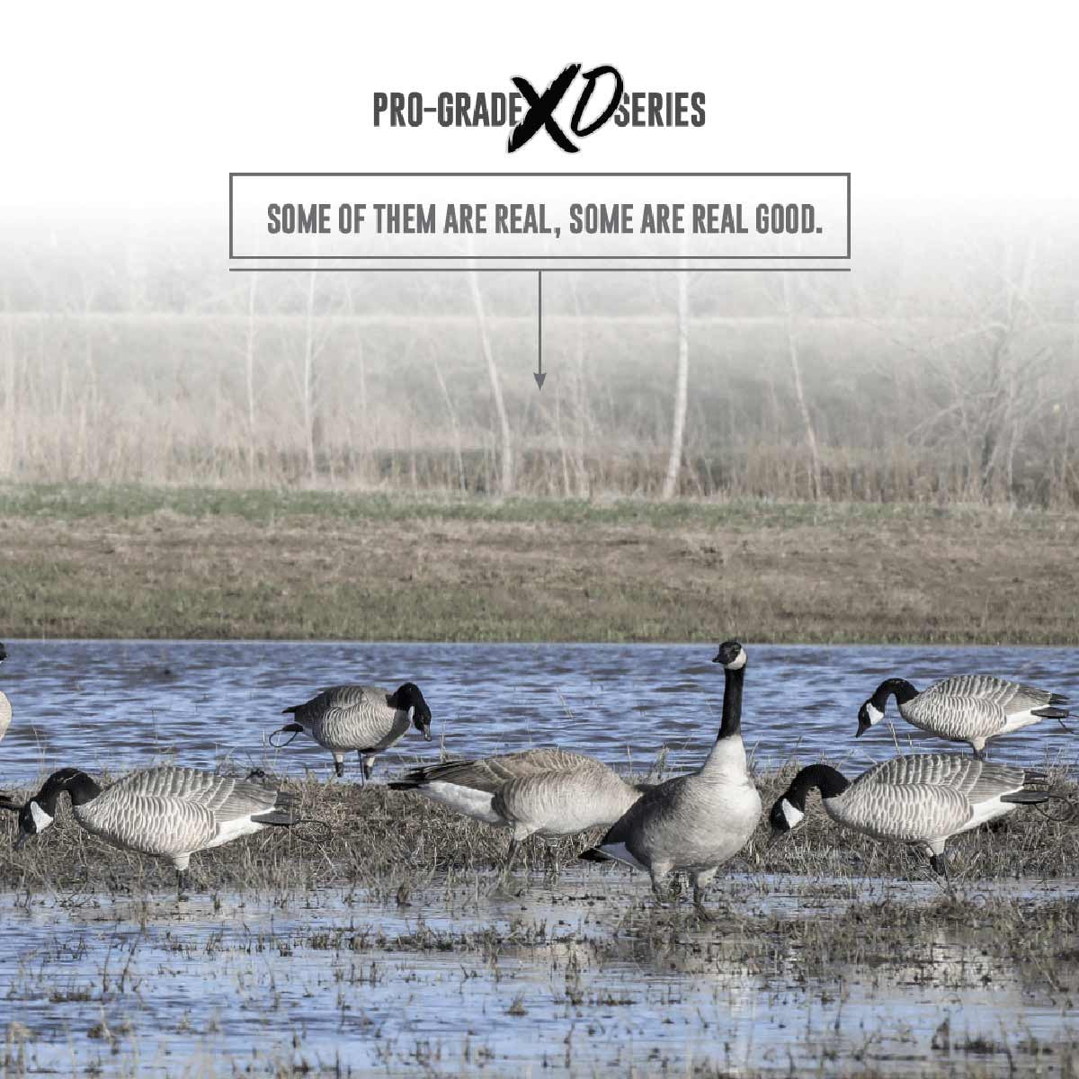 GHG Decoy Systems XD Series Full-Body Honkers Features Image