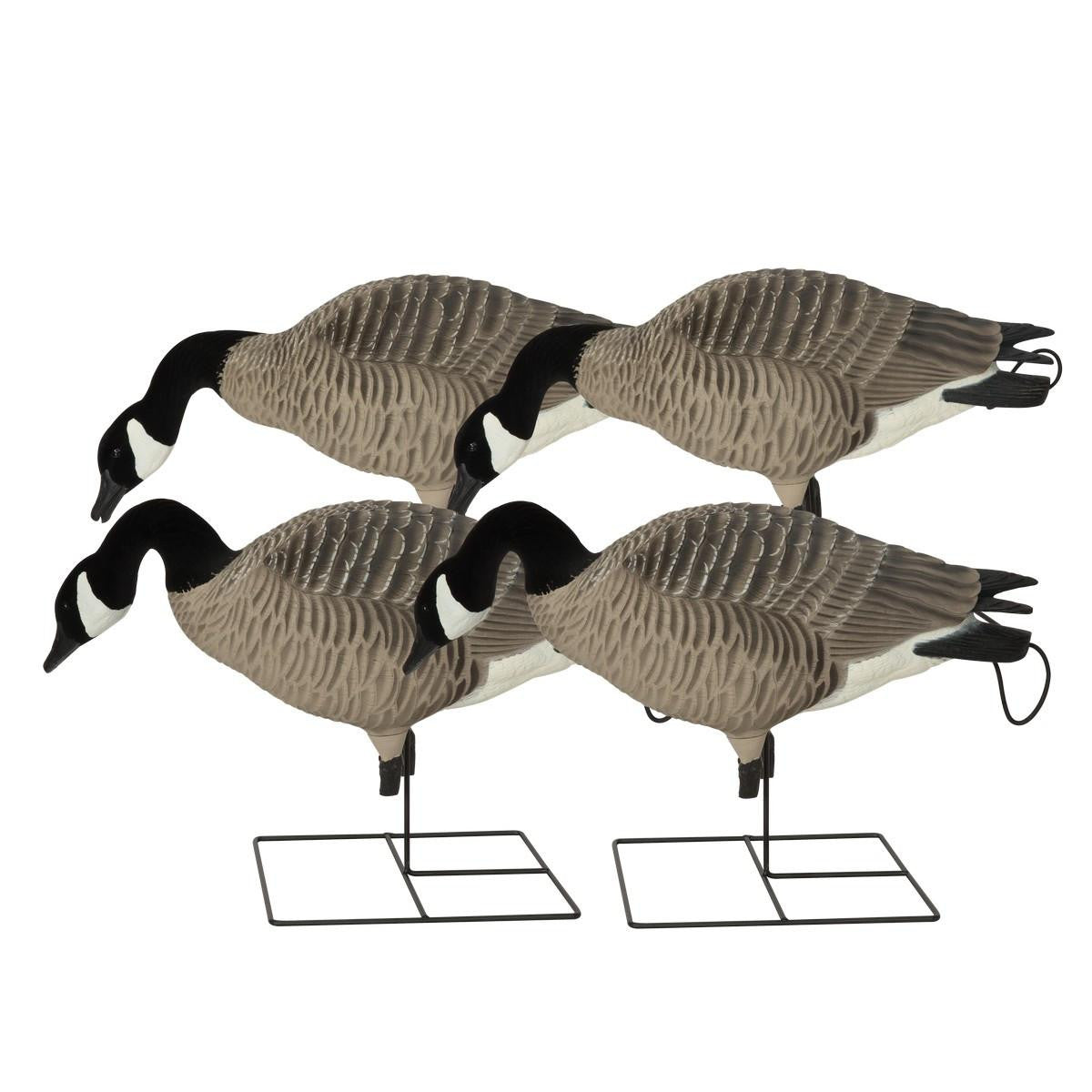 GHG Decoy Systems Pro-Grade XD Canada Goose Feeder Decoys 4 Pack Image