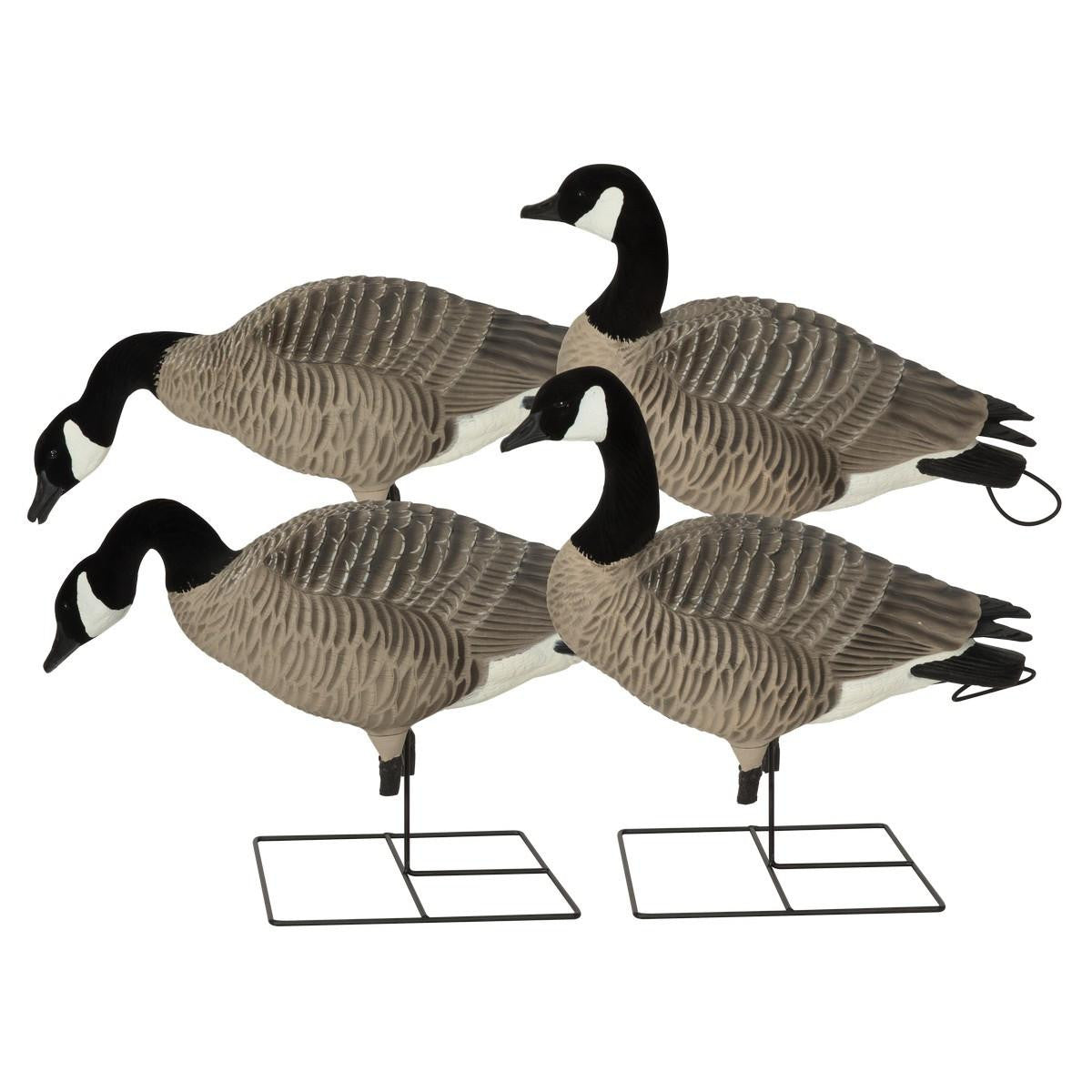 GHG Decoy Systems Pro Grade XD Canada Goose Decoys Product Image