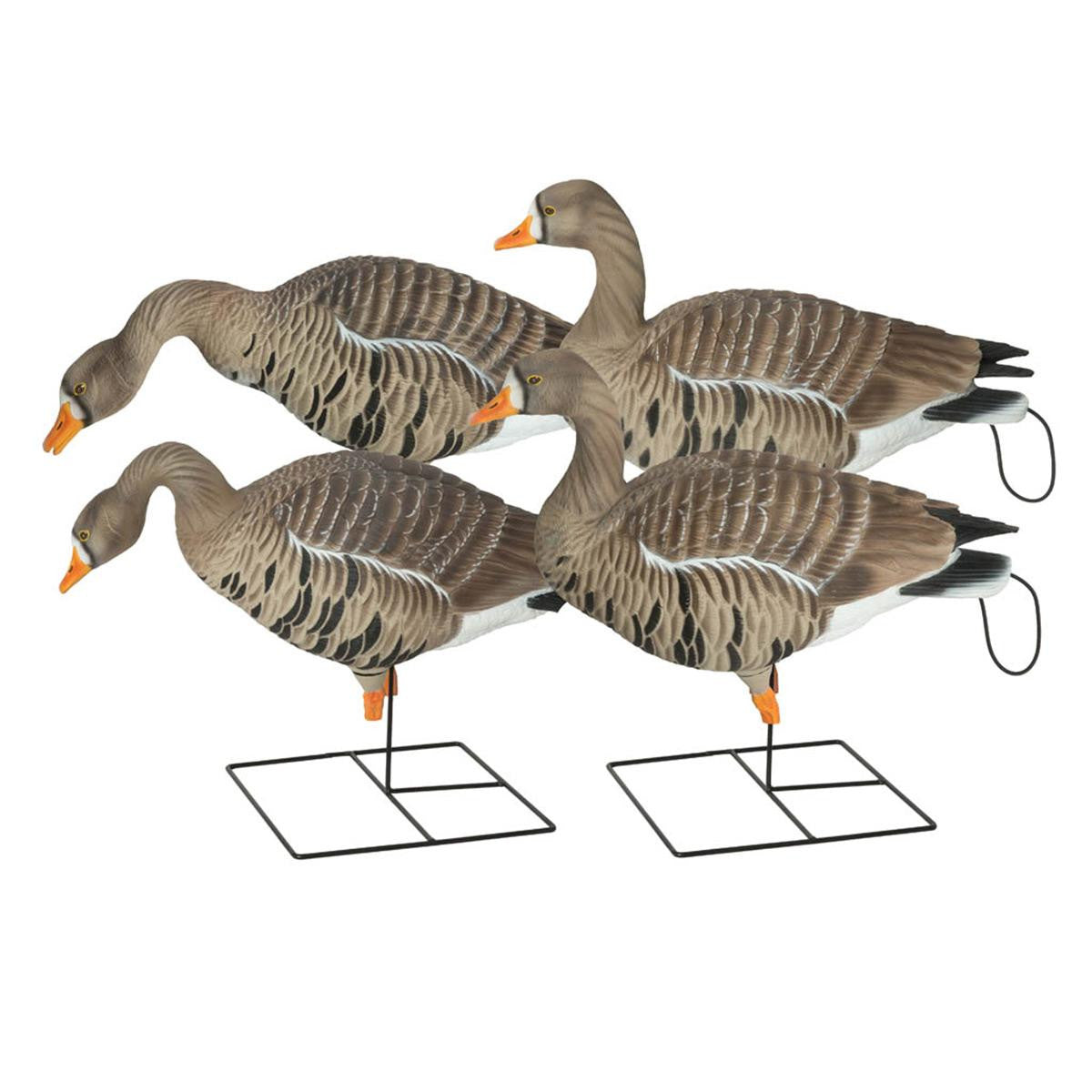 GHG Pro-Grade XD Specklebelly Harvester Decoys 4 Pack Image