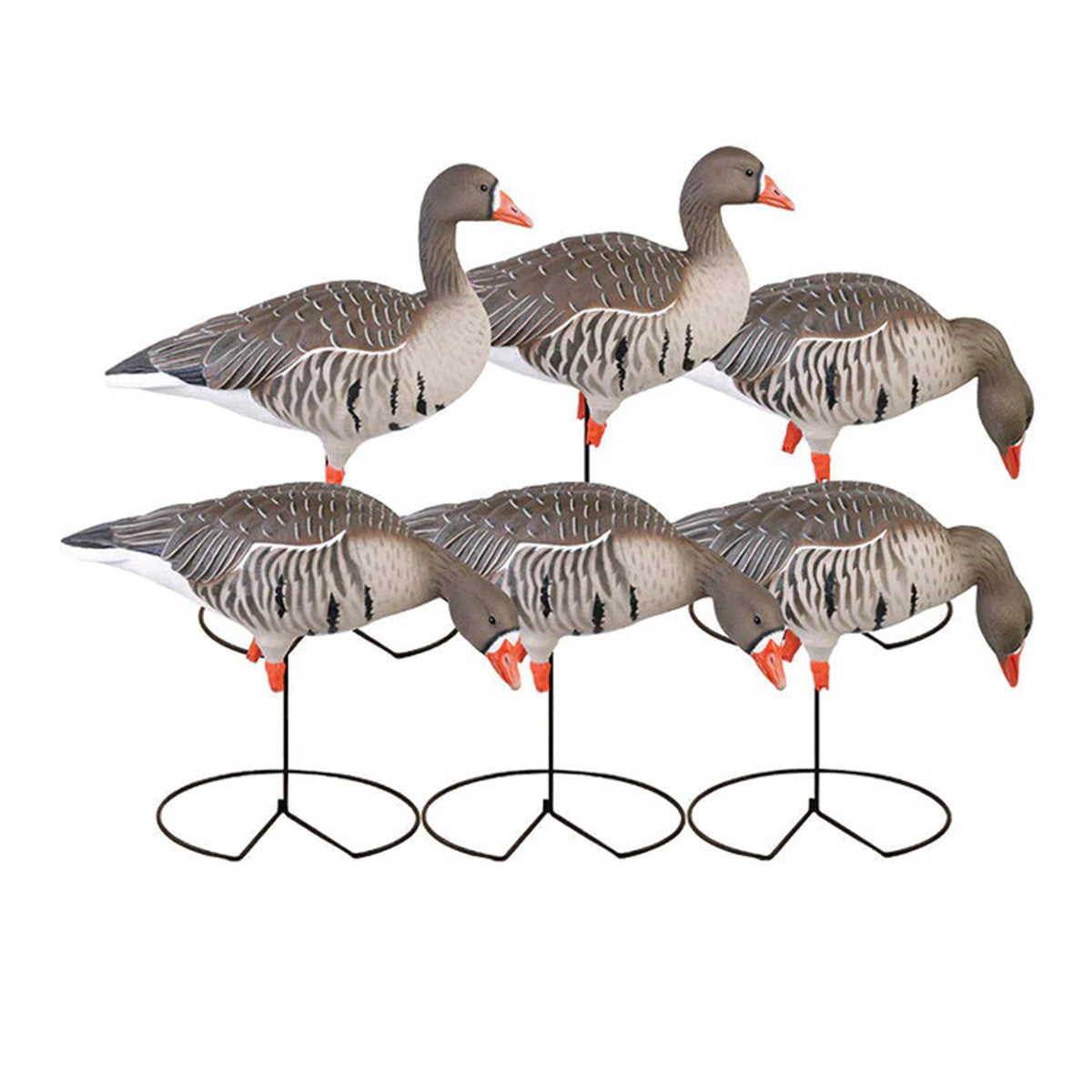 GHG Decoy Systems Pro-Grade Full-Body Specklebelly Goose Decoys 6 Pack Image