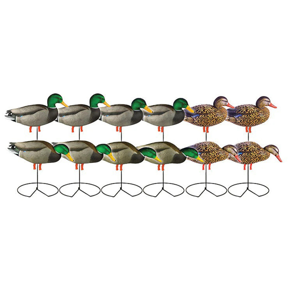 GHG Decoy Systems Pro-Grade Harvester Decoys with Flocked Head Drakes, 12 Pack Image