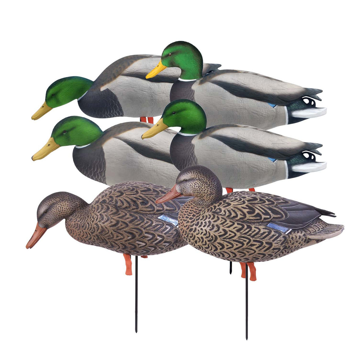 GHG Decoys Elite Fully Flocked Full-Body Mallard Harvesters 6 Pack Group Image