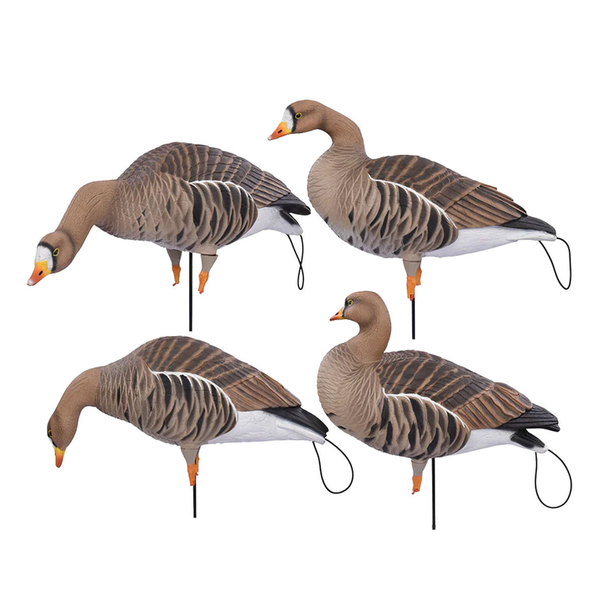 Avery Pro-Flex Full Body Speck Harvester Pack, 12 Pack