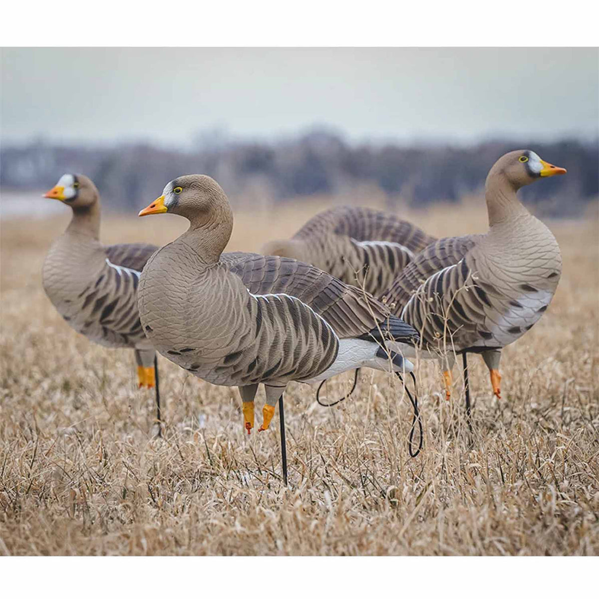Avery Pro-Flex Full Body Speck Harvester Pack, 12 Pack