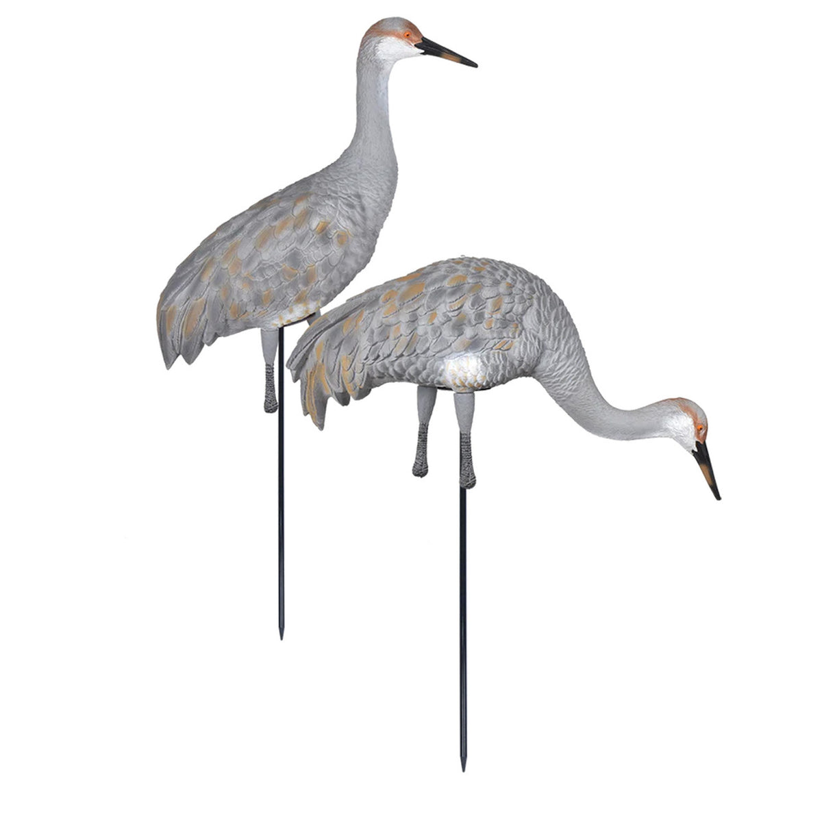 GHG Sandhill Crane Full Body Juvenile Active/Feeder Pair image