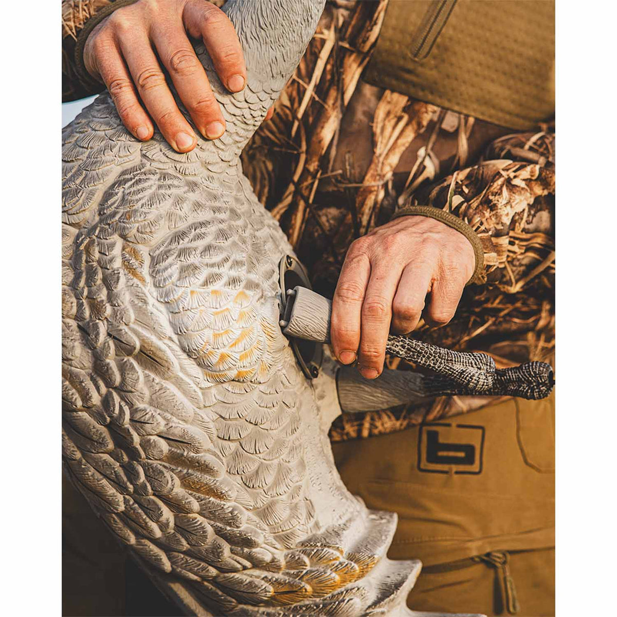 Underneath image of the Avery Sandhill Crane.