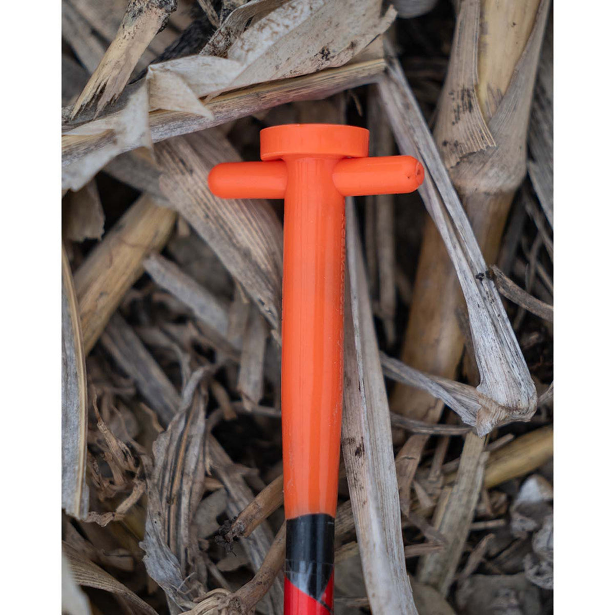 Stake top image of the Avery Sandhill Crane decoy.
