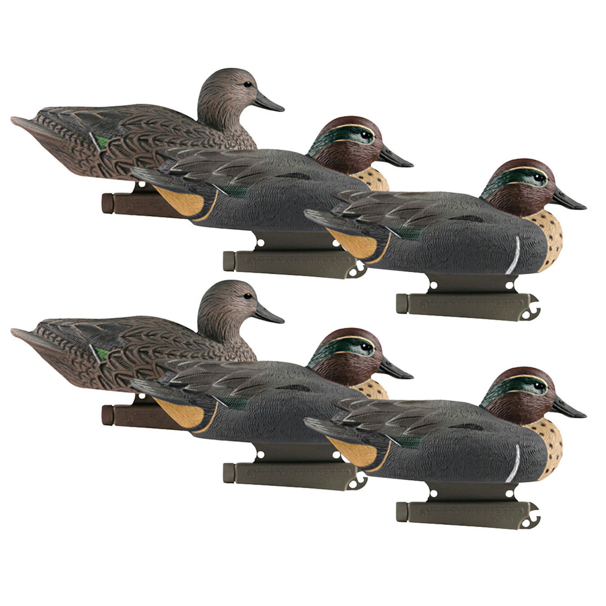 GHG Hunter Series Life-Size Floating Green-Winged Teal Decoys 6 Pack Image