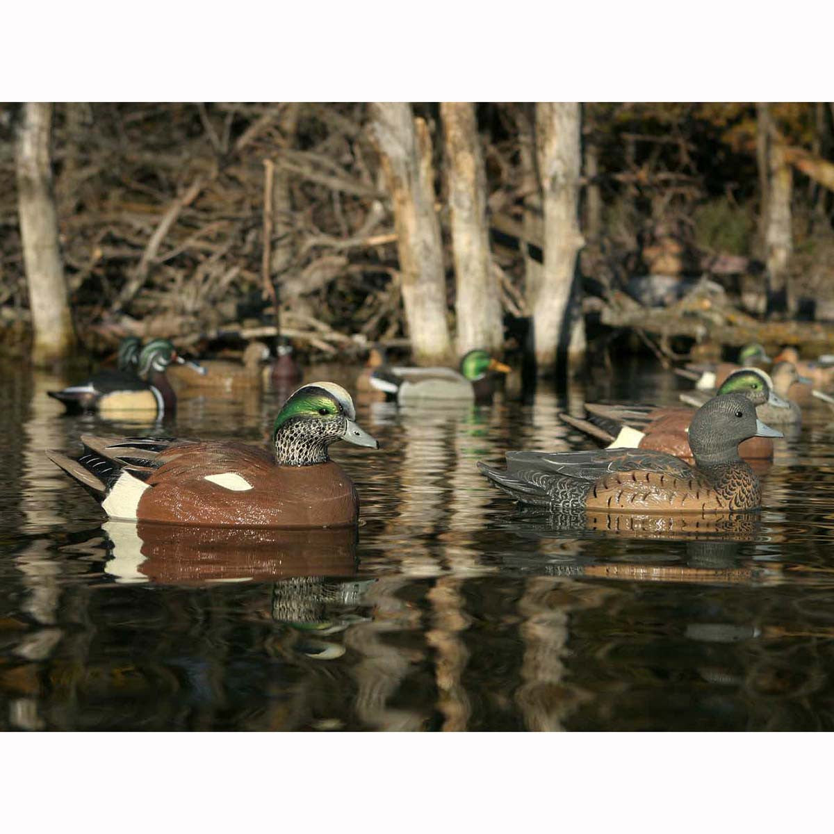 GHG Life-Size Wigeons, 6 Pack In-the-Water Image