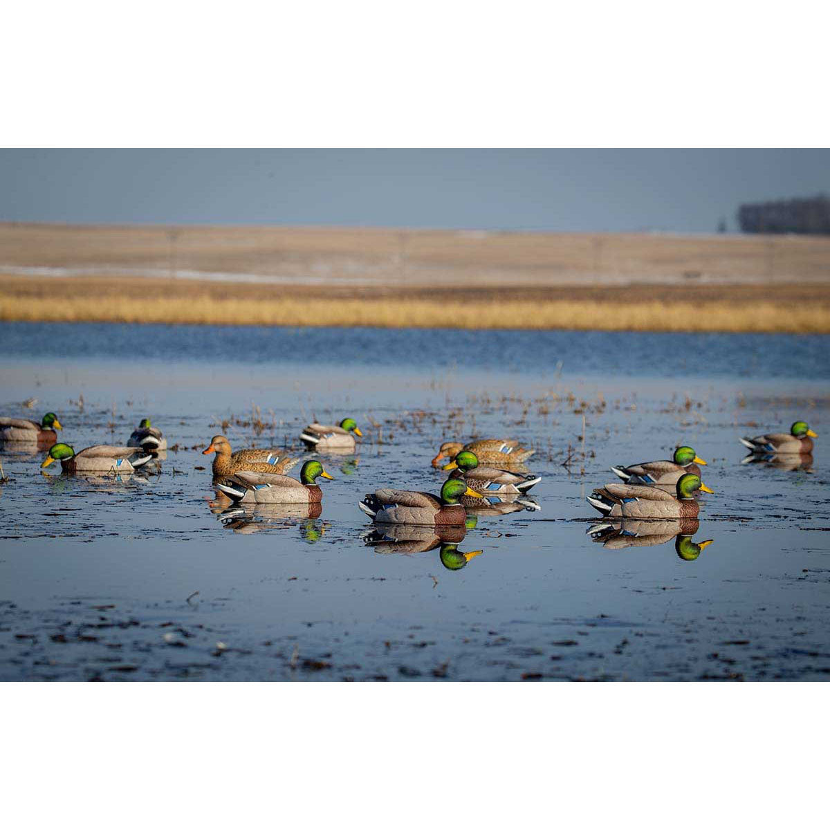 GHG Decoy Systems Pro-Grade XD Series Mallards - Harvester 12 Pack Product Image