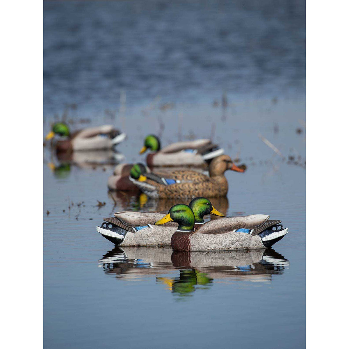 GHG Decoy Systems Pro-Grade XD Series Mallards - Harvester 12 Pack Product Image