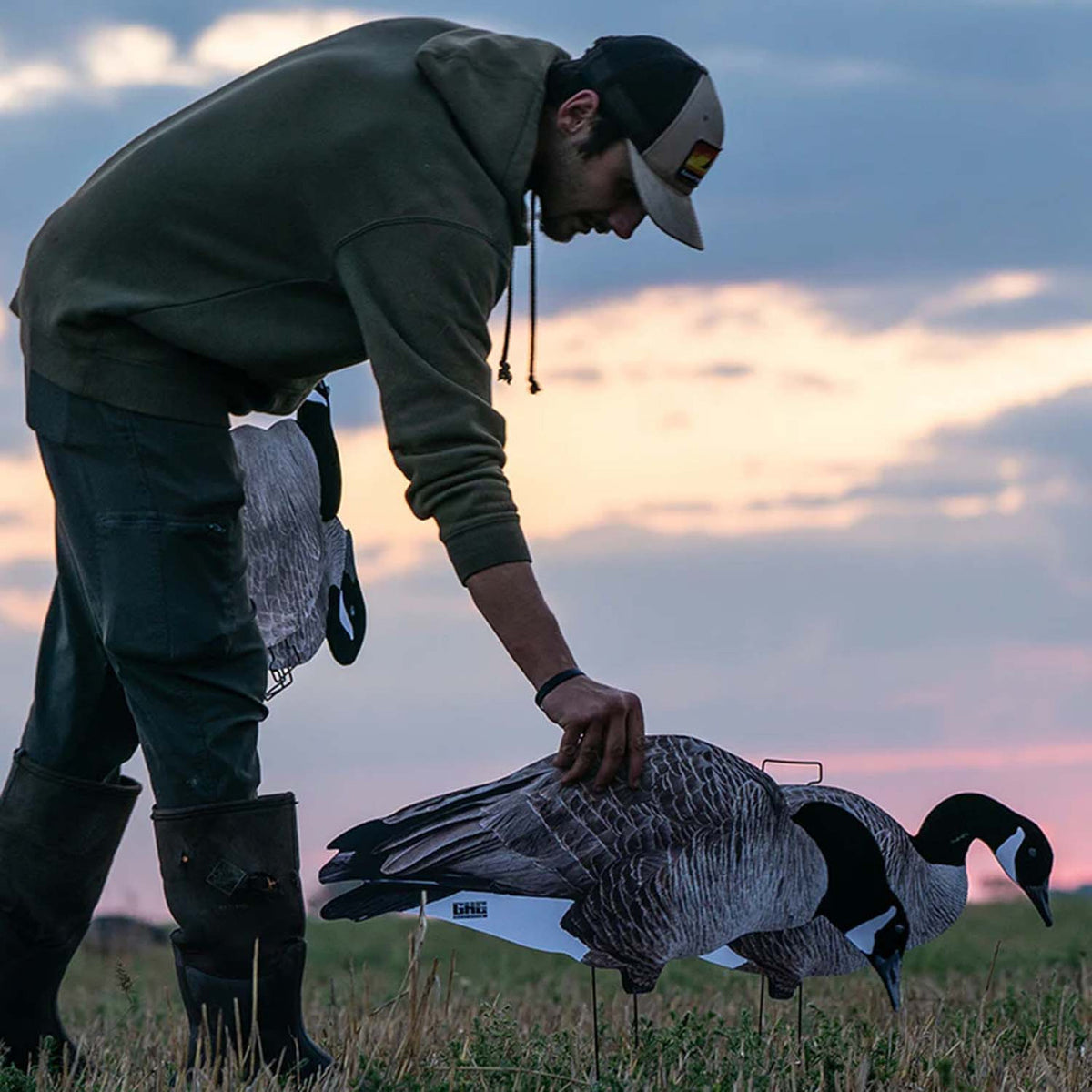 GHG Pro Grade Canada Goose Silhouette Decoys Set Up Image